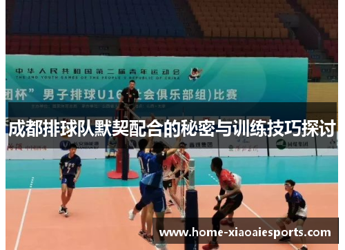 成都排球队默契配合的秘密与训练技巧探讨