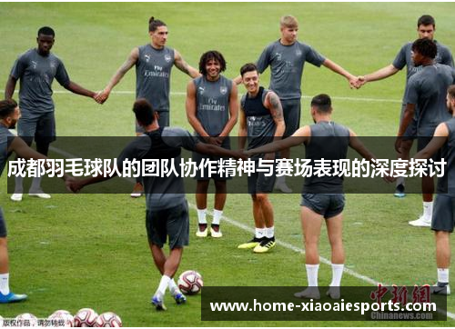成都羽毛球队的团队协作精神与赛场表现的深度探讨
