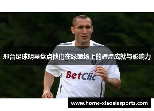 邢台足球明星盘点他们在绿茵场上的辉煌成就与影响力