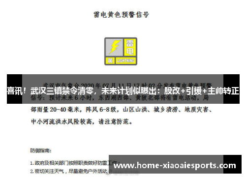 喜讯!武汉三镇禁令清零,未来计划似曝出:股改+引援+主帅转正 喜讯!武汉三镇禁令清零,未来计划似曝出:股改+引援+主帅转正