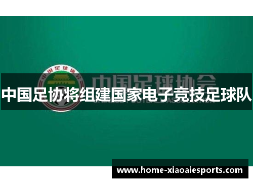 中国足协将组建国家电子竞技足球队 中国足协将组建国家电子竞技足球队
